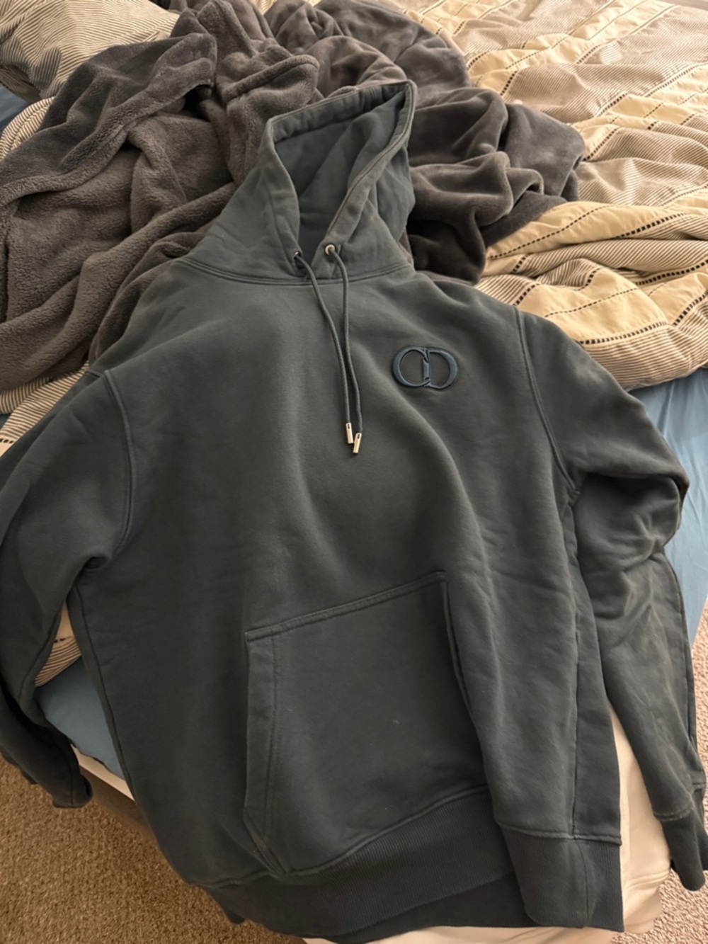 Dior Dark blue Hoodie